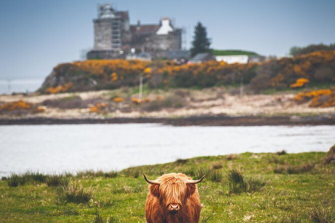 3-Day Isle of Mull and Iona Small-Group Tour from Glasgow - Comfort and Practical Stuff: The Bus, the Breaks, and Your Body