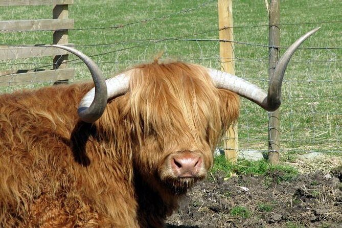3-Day Isle of Skye and Highlands Tour from Glasgow - Why This Route Works So Well for Highlands and Skye First Timers