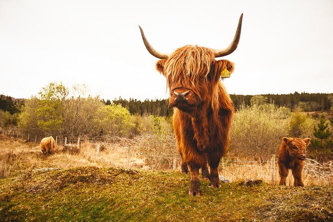 3-Day Isle of Skye and Scottish Highlands Small-Group Tour from Glasgow - How to make this tour work smoothly in real life