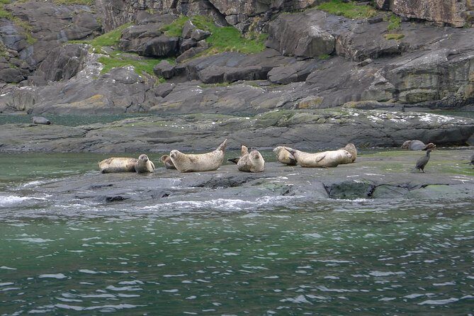 5-Day Best of Scotland Experience from Glasgow - Day 3 on Skye: Cuillin views, Kilt Rock, The Old Man of Storr, Portree