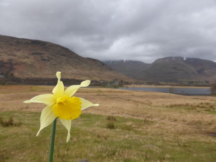 From Glasgow: Scottish Highlands & Isle of Skye 5-Day Tour - Comfort details that matter on a tour like this