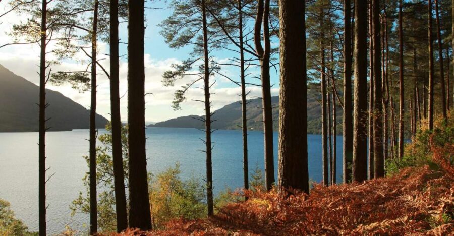 From Glasgow: Stirling Castle & Loch Lomond Tour with Cruise - Why This Glasgow Highlands Combo Works