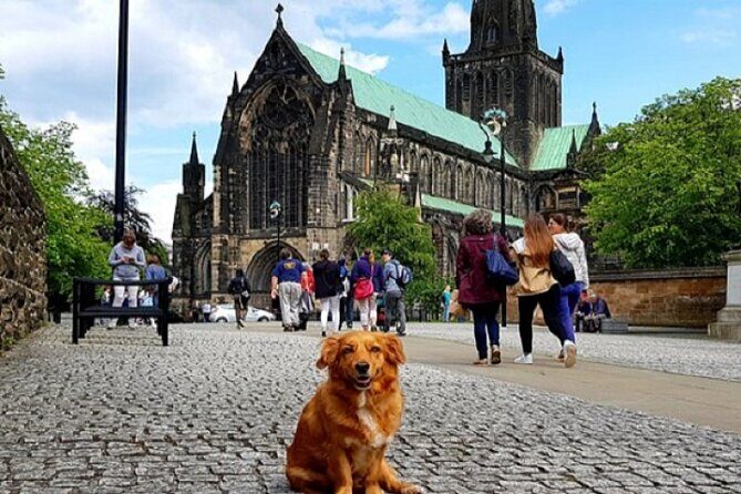Gander Walking Tours in Glasgow - Starting at Royal Exchange Square: the vibe and the pacing