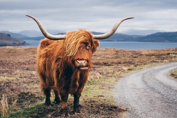 Glasgow: Isle of Skye, The Highlands and Loch Ness - 3 Day Tour - Practical tips: what to pack and how to walk smarter