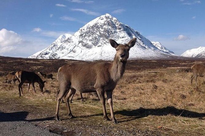 Glasgow: Loch Ness, Glencoe, and the Highlands Day Tour - Pitlochry Break: A Short Village Stop to Reset Your Legs