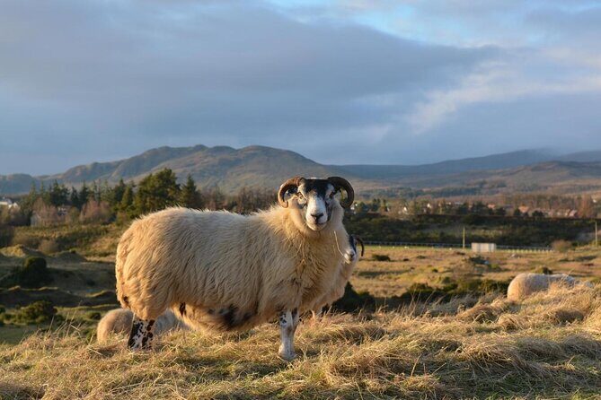 Glasgow: Loch Ness, Inverness & The Highlands - 2 Day Tour - Key highlights to pay attention to