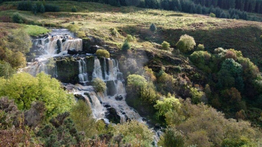 Glasgow: Loup of Fintry Waterfall Guided Tour - The guided countryside walk: forests, meadows, and a footpath that feels alive
