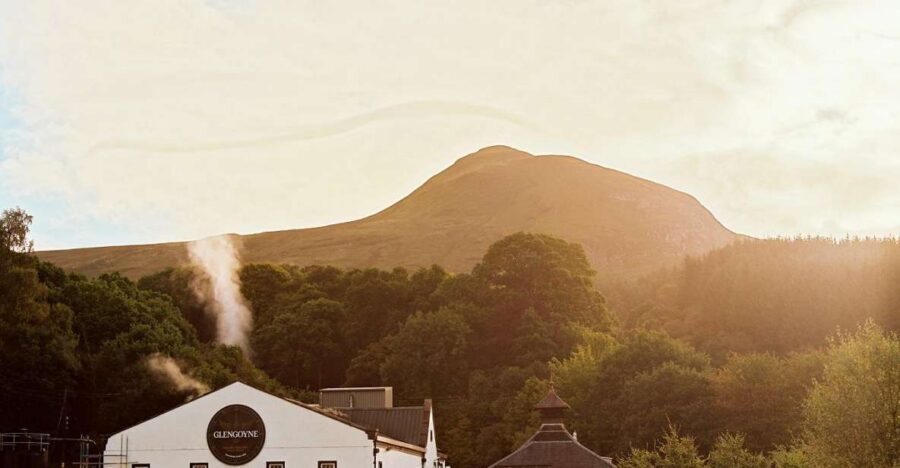 Glasgow: Sample Fine & Rare Whiskies at Glengoyne Distillery - Glengoyne’s Sample Room at a glance: 45 minutes, very intentional