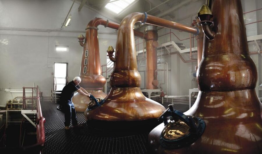 Glasgow: The Malt Master Experience at Glengoyne Distillery - The Sample Room Cask Tasting: Color, Wood, and Fill History