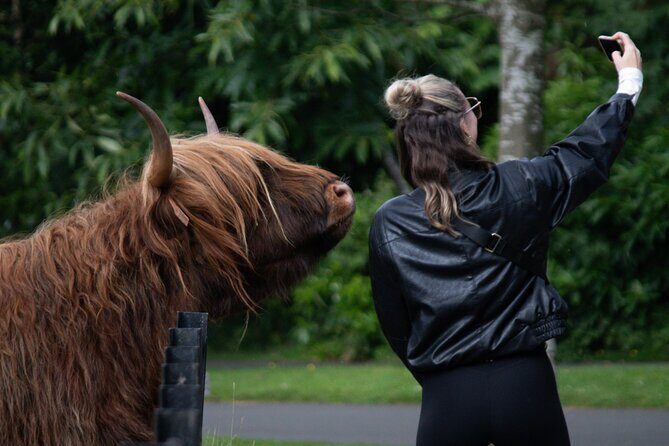 Highlands Cows Glencoe and Castles Private Tour from Glasgow - Inveraray Castle & Gardens: self-guided, but entry costs extra
