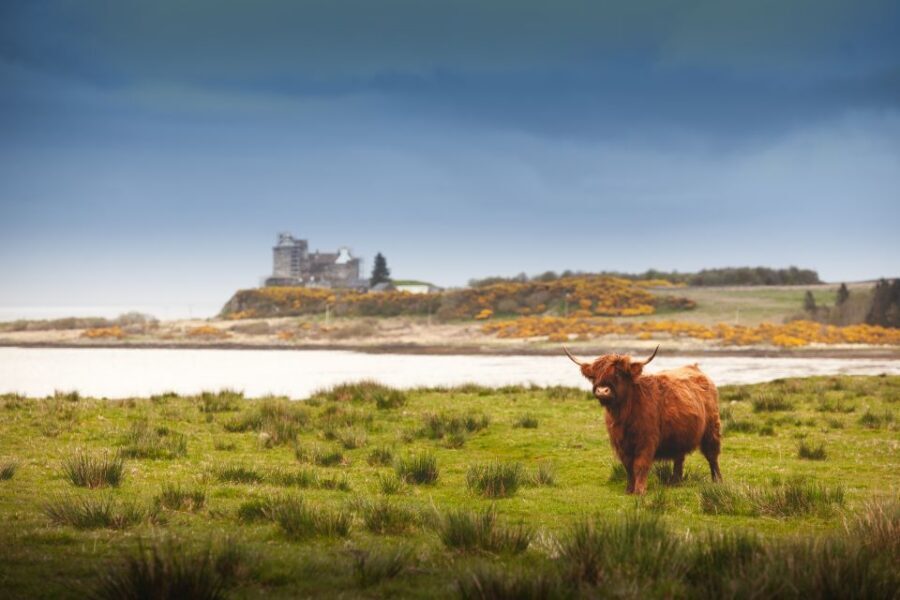 Isle of Mull and Iona 3-Day Small-Group Tour from Glasgow - Iona Abbey and Fingal’s Cave: sacred calm and dramatic geology