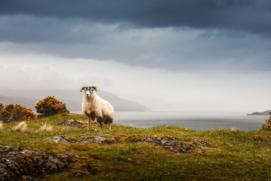 Isle of Mull and Iona 3-Day Small-Group Tour from Glasgow - Tobermory to Oban: the seafood lead-in, then Kilmartin Glen’s 800 monuments