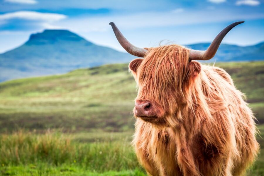 Isle of Skye & The Highlands: 3-Day Guided Tour from Glasgow - Culloden Battlefield and Pitlochry: history and a Victorian palate cleanser