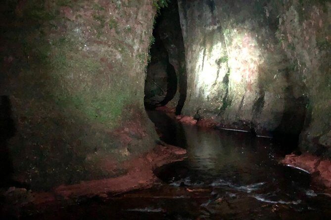 Join the Dark Side of Magical Nature - The Devil-Legend Stop: Dark Past Before the Forest