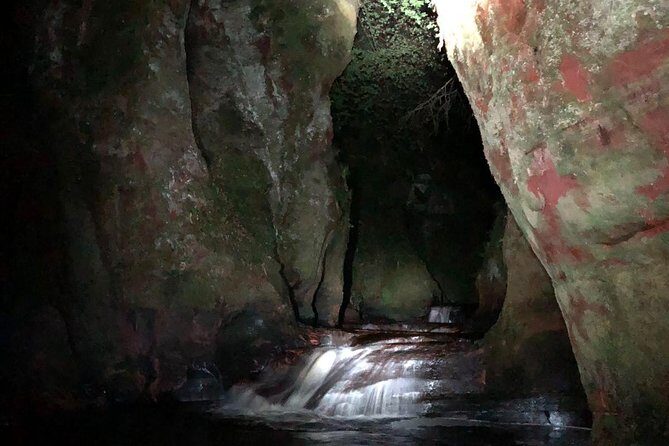 Join the Dark Side of Magical Nature - FAQ