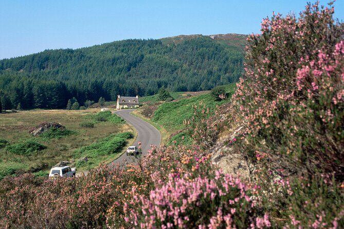 Loch Lomond National Park & Stirling Castle Full Day Tour - Key highlights worth marking on your plan