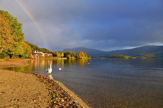 Loch Lomond National Park & Stirling Castle Full Day Tour - Balloch: your choice of a 1-hour Loch cruise or a land break