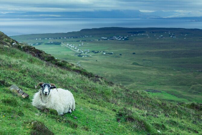 Private Tour of Loch Ness, Glencoe and Highlands from Glasgow - Rannoch Moor, Loch Tulla, and the Kind of Quiet Pictures You’ll Keep