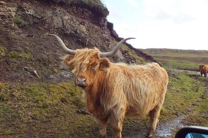 Scotland Tours - The Private Vehicle Details That Make the Day Feel Easy