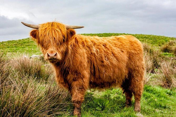 Scotland Tours - How to Think About Tickets and Stop Timing
