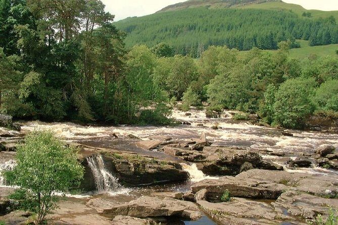Stirling Castle & Loch Day Tour - Kilmahog and Trossachs Woollen Mill: souvenirs, a snack, and hairy coos season
