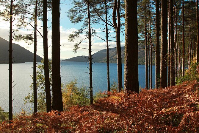 Stirling Castle, Loch Lomond and Cruise Day Tour from Glasgow - Should you book Stirling Castle and Loch Lomond from Glasgow?
