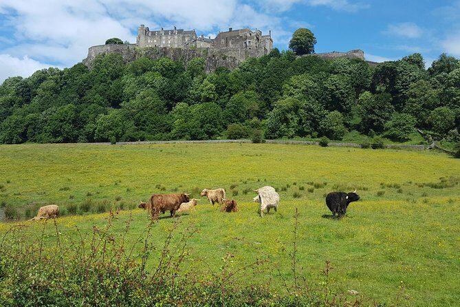 Stirling Castle, Trossachs and Loch Lomond Shore Excursion - Small group size and the “not rushed” advantage (most days)