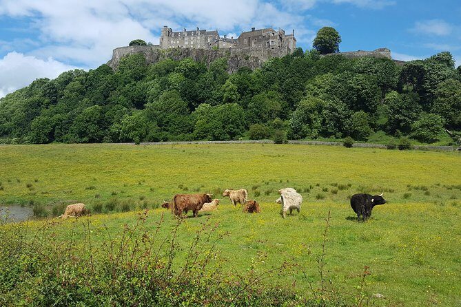 Stirling Castle, Trossachs, Loch Lomond and Whisky Tour - A Full-Day Sampler from Glasgow: Stirling, the Trossachs, Loch Lomond, Whisky