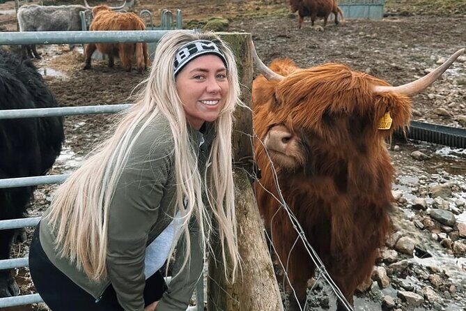 Ultimate Day tour Edinburgh: Glencoe, Highland Cows, Loch Lomond - The Kelpies and The Helix: 30-meter horse sculptures for big photos
